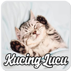 Wallpaper Kucing Lucu HD simgesi