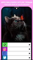 Wallpaper Kucing Lucu HD Ekran Görüntüsü 3