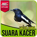 Kicau Burung Kacer Lengkap APK