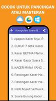 Suara Burung Kacer Gacor Ampuh ảnh chụp màn hình 2