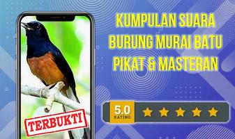 Masteran Murai Batu gönderen