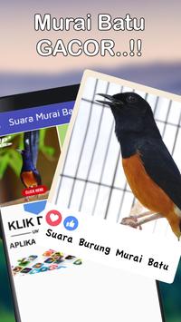 Suara Murai Batu Masteran Durasi Panjang For Android Apk Download