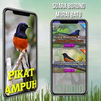 Masteran Murai Batu Ekran Görüntüsü 1