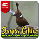 Suara Masteran Cililin AMPUH APK
