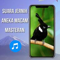Suara Masteran Cililin AMPUH screenshot 3