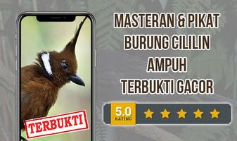 Suara Masteran Cililin AMPUH plakat