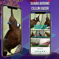 Suara Masteran Cililin AMPUH screenshot 1