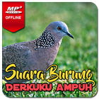 Suara Burung Derkuku Pikat simgesi