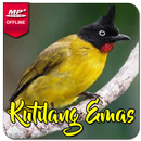 Suara Burung Kutilang Emas APK