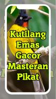 Suara Burung Kutilang Emas Ekran Görüntüsü 2