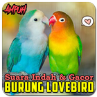 Suara Burung Lovebird Ngekek ikona