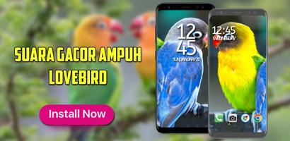 Suara Burung Lovebird Ngekek plakat