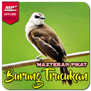 Suara Burung Trucukan Gacor APK