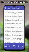 Masteran Cucak Jenggot gönderen