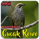 Suara Burung Cucak Rowo Gacor APK