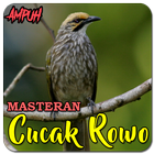 Suara Burung Cucak Rowo simgesi