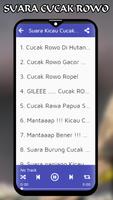 Suara Burung Cucak Rowo gönderen