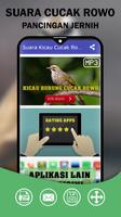 Suara Burung Cucak Rowo Ekran Görüntüsü 1