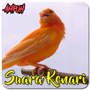 Masteran Kenari Gacor Ampuh APK