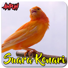 Masteran Kenari Gacor Ampuh आइकन