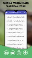 Suara Murai Batu تصوير الشاشة 1