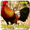 Suara Pemikat Ayam Hutan APK