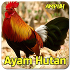 Suara Pemikat Ayam Hutan أيقونة