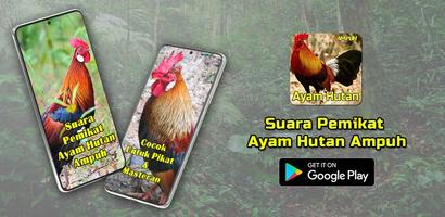 Suara Pemikat Ayam Hutan Ampuh Affiche