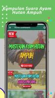 Suara Pemikat Ayam Hutan تصوير الشاشة 2