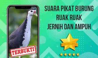 Suara Pemikat Ruak Ruak Ampuh poster