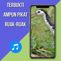 Suara Pemikat Ruak Ruak Ampuh imagem de tela 3