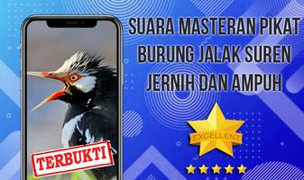 Kicau Jalak Suren Gacor Ampuh bài đăng