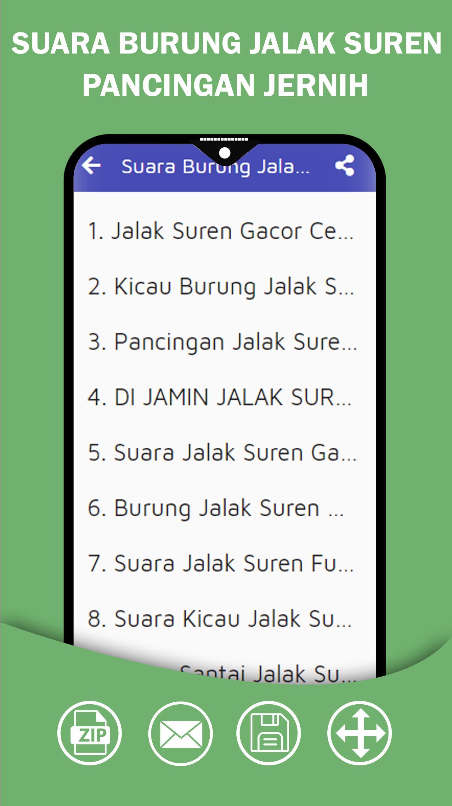 Suara Burung Jalak Suren Gacor Ngamuk Juara Nasional Youtube