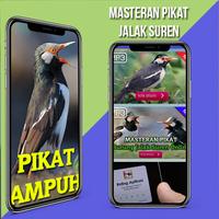 Kicau Jalak Suren Gacor Ampuh ảnh chụp màn hình 1