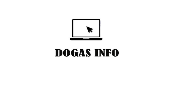 Um guia para iniciantes para fazer o download do Dogas Info image