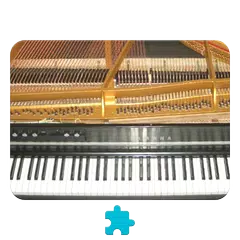 Electric Grand Piano *Plugin* APK download