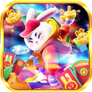 Rabbit Tetris APK