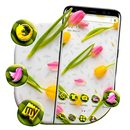 Yellow Pink Tulips Theme APK