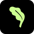 Kale - Creator Rewards