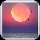 خلفيات 2022 APK