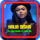 Kalia Siska Los Dol Mp3 Offline APK