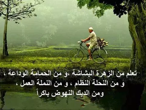 Screenshot 10 for عطر الكلمات و الحكم و الاقوال