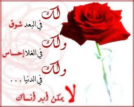 كلمات و صور حب للمتزوجين فقط For Android Apk Download