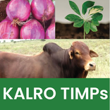 KALRO TIMPs