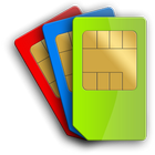 Sim Details icon