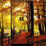 Wallpapers HD 4k Backgrounds Galaxy 图标