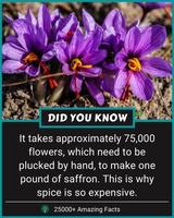 1 Schermata 25000+ Amazing Facts - Did You Know?