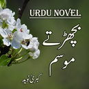 Urdu Novel Bicharty Mousam - Offline APK