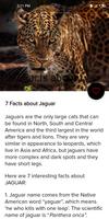 Interesting Facts screenshot 2