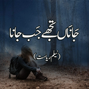 Urdu Novel Janaan Tujhy Jb Jana - Offline APK